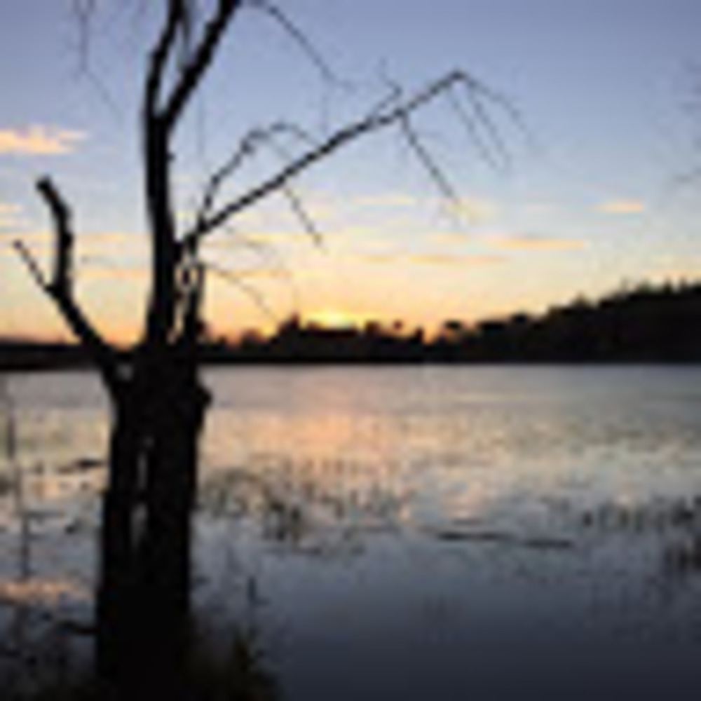 Meet your Posher, Ana